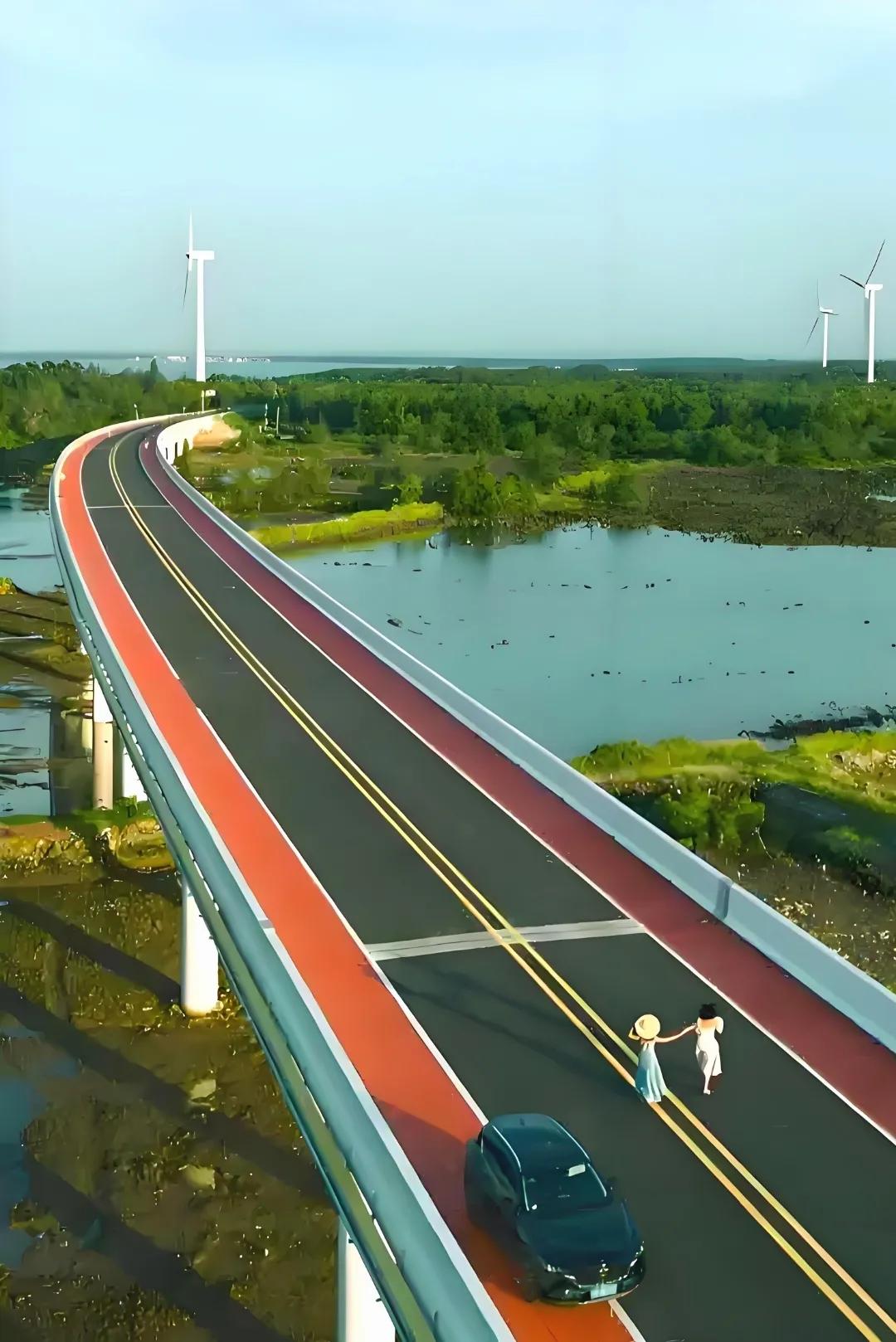 沿環島旅游公路旅行,解鎖漫游海南新玩法!